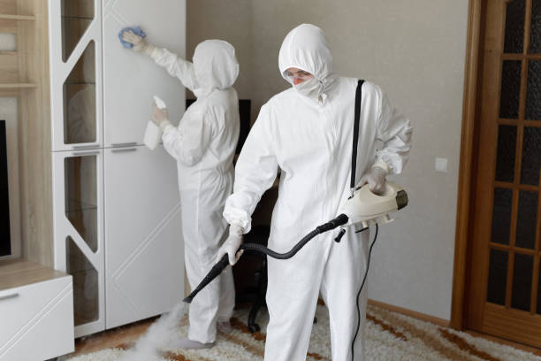 Mold Removal and Inspection in Church Rock, NM